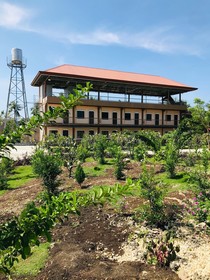 La Plumerias