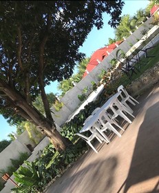 La Plumerias