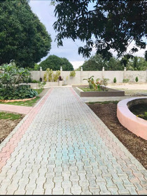 La Plumerias