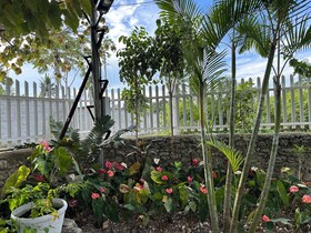 Moalboal Casablanca Inn