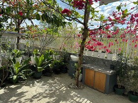 Moalboal Casablanca Inn