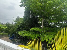 Moalboal Casablanca Inn