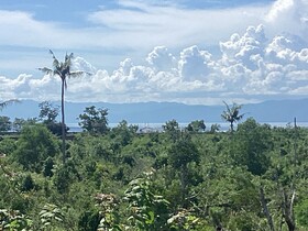 Moalboal Casablanca Inn