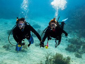 Moalboal T Breeze Coastal Resort