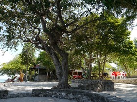 Moalboal T Breeze Coastal Resort