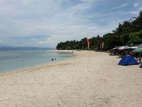 Moalboal Tropics