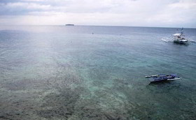 Quo Vadis Dive Resort Moalboal
