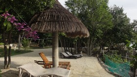 Sea Turtle House