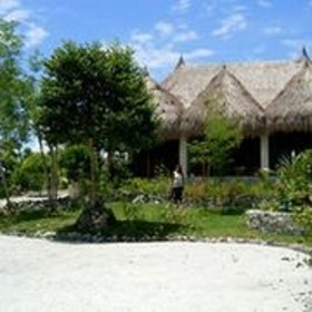Sea Turtle House
