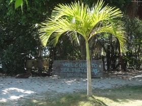 Sea Turtle House