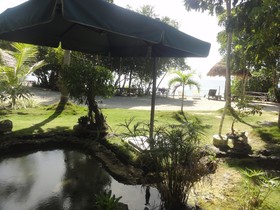 Sea Turtle House
