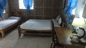 Sea Turtle House