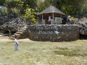 Sea Turtle House