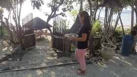 Sea Turtle House