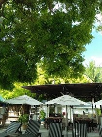 Amaris Boutique Resort