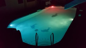 Pedz Cing Mango Lodge