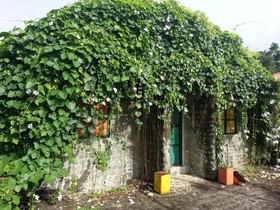 Villa Socorro Farm