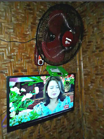 Coco Bamboo Cottages