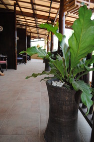 Captains Lodge And Bar