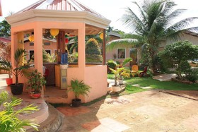 Coco Mango's Place