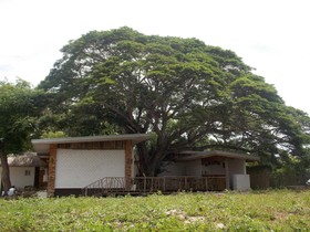 Dormitels Alona Beach Bohol
