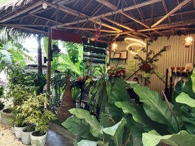 Ecostay Panglao Resort Hotel