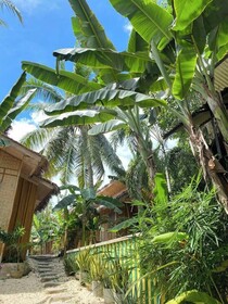 Ecostay Panglao Resort Hotel