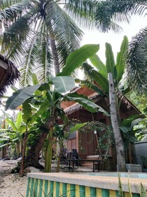 Ecostay Panglao Resort Hotel