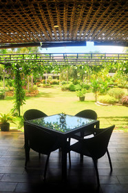 Golden Palm Resort