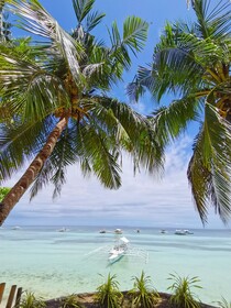 On Board Panglao Beach Hostel and Resort