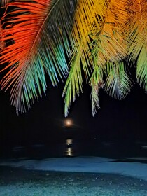 On Board Panglao Beach Hostel and Resort