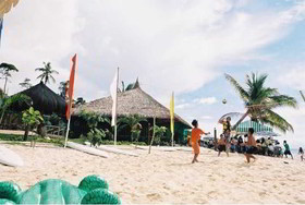My Little Island Hotel