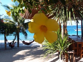 Bamboo House Beach Lodge & Restaurant