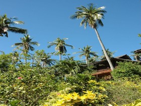 Coco Beach Island Resort