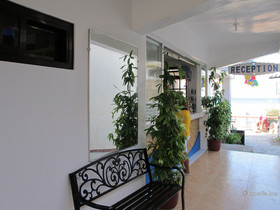 Seashore Beach Resort Bar & Restaurant