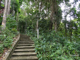 Atremaru Resort