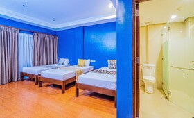 Hotel Palacio
