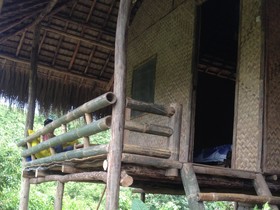 Love and Peace Deep Jungle and River Resort