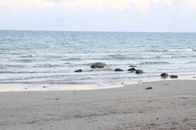 Nitivos Beach Resort