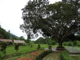 Sheridan Organic Farm and Eco Village