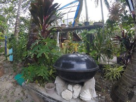 Carabao Backpackers & Guest House