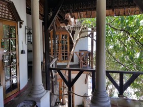 Tropicana Castle Hotel & Dive Resort