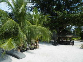 Precious Garden Hotel
