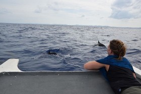 Sailfish Bay Surf & Big Game Fishing Lodge