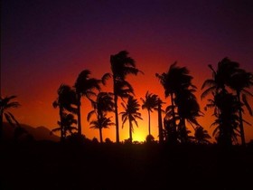 Ticao Island Resort