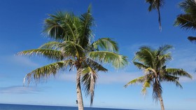 Lanas Beach Resort