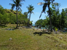 Morel's Private Island
