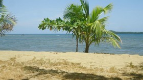 Melrose Beach Resort