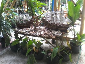 Buco Beach Resort