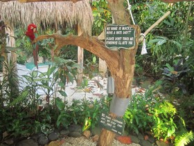 Coco Grove Beach Resort